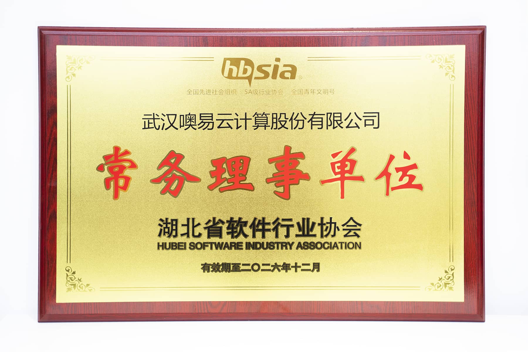 常務理事單位（湖北省軟件行業(yè)協會）