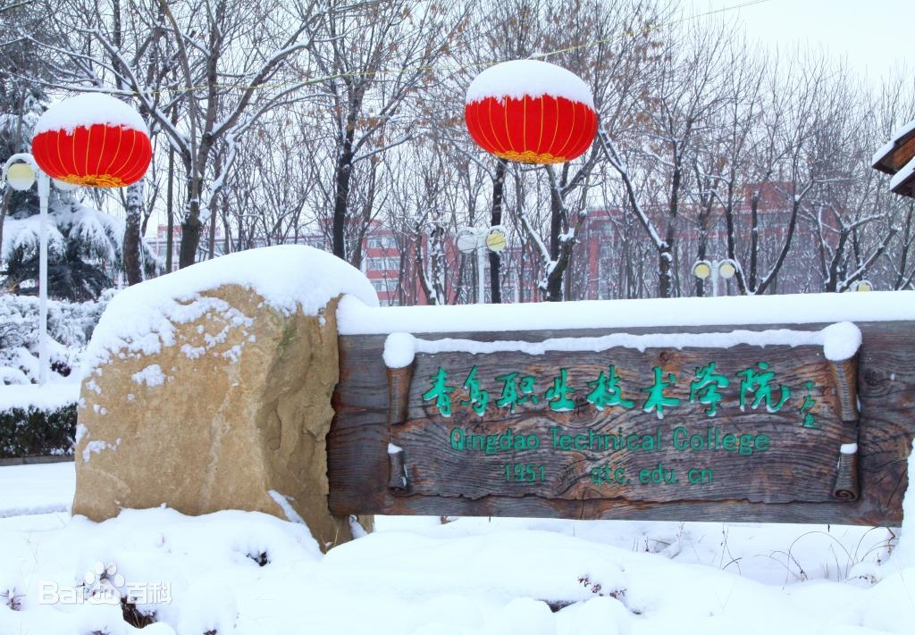 青島職業(yè)技術(shù)學(xué)院